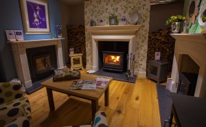 Wendron Stoves Cornwall Showroom